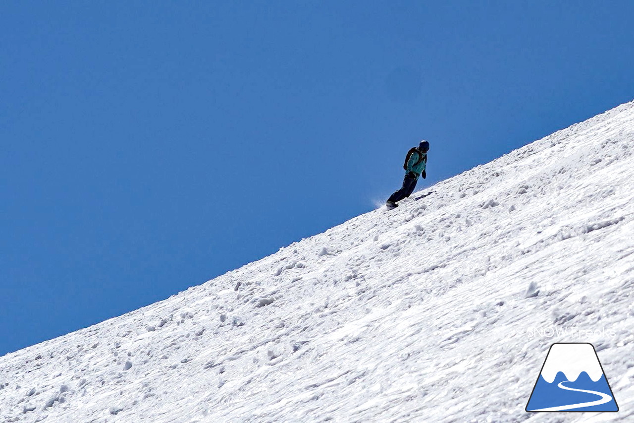 ニセコグラン・ヒラフ DYNASTAR SKI TEST RIDE DAYS Photo Session!!最高の天気に恵まれたニセコに、最高の仲間たちが集まりました☆